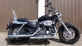 Sportster 1200 Custom mit AMC HD1 classic